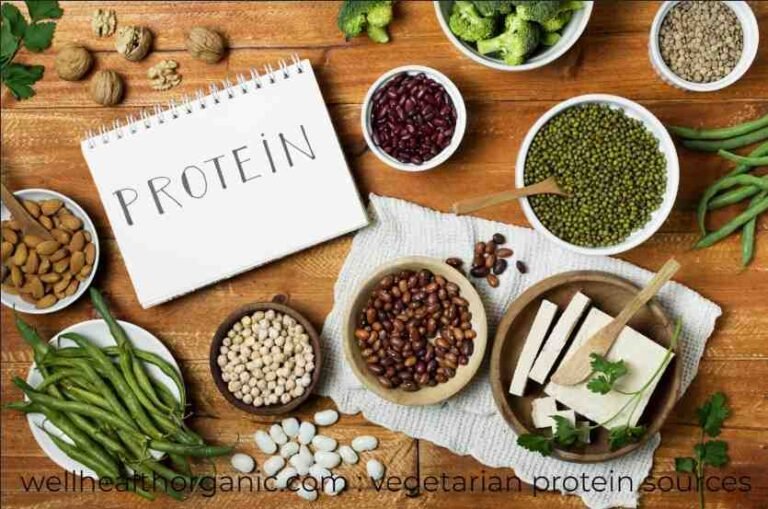 wellhealthorganic.com : vegetarian protein sources